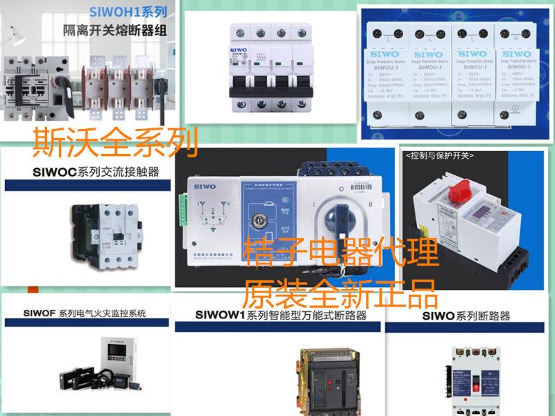 供應SIWOQ2-63/3S116A選擇方式